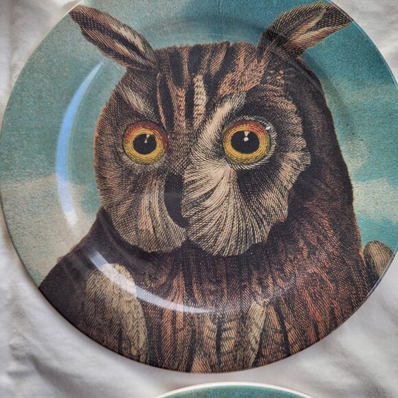 John Derian x Target Owl Appetizer Plates Set of 4 - Picture 5 of 5